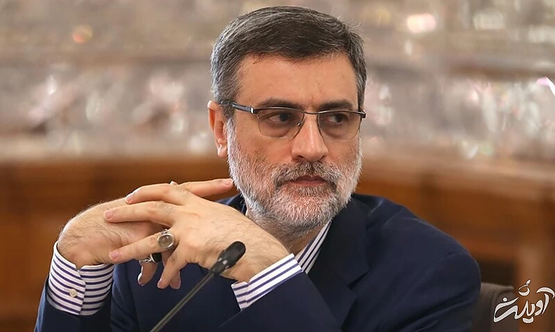 امیرحسین قاضی زاده هاشمی امیرحسین قاضی زاده هاشمی